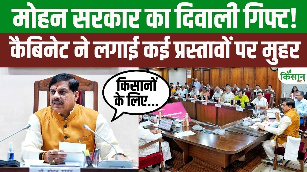 CM Mohan Yadav's Big Blast Before Diwali 2026! MP Cabinet Opens Treasure Trove of Gifts!