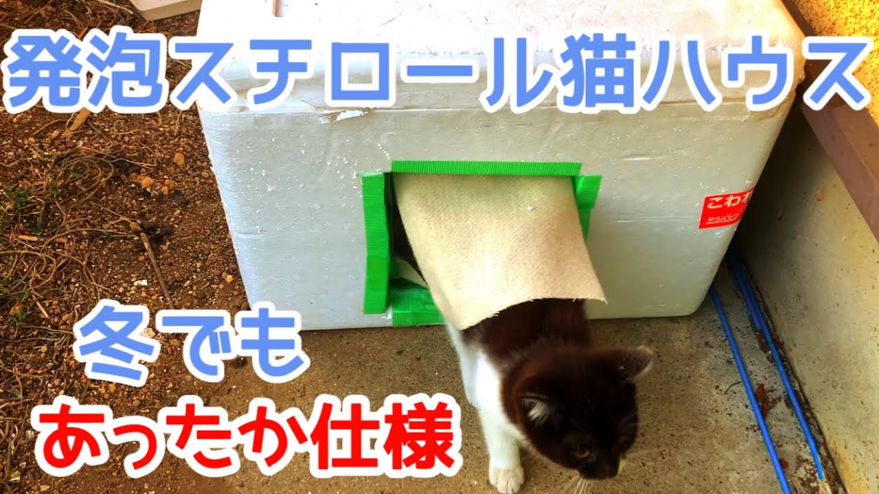 寒い冬が来たので、外猫たちに発泡スチロール猫ハウスを作ったら喜んでくれました