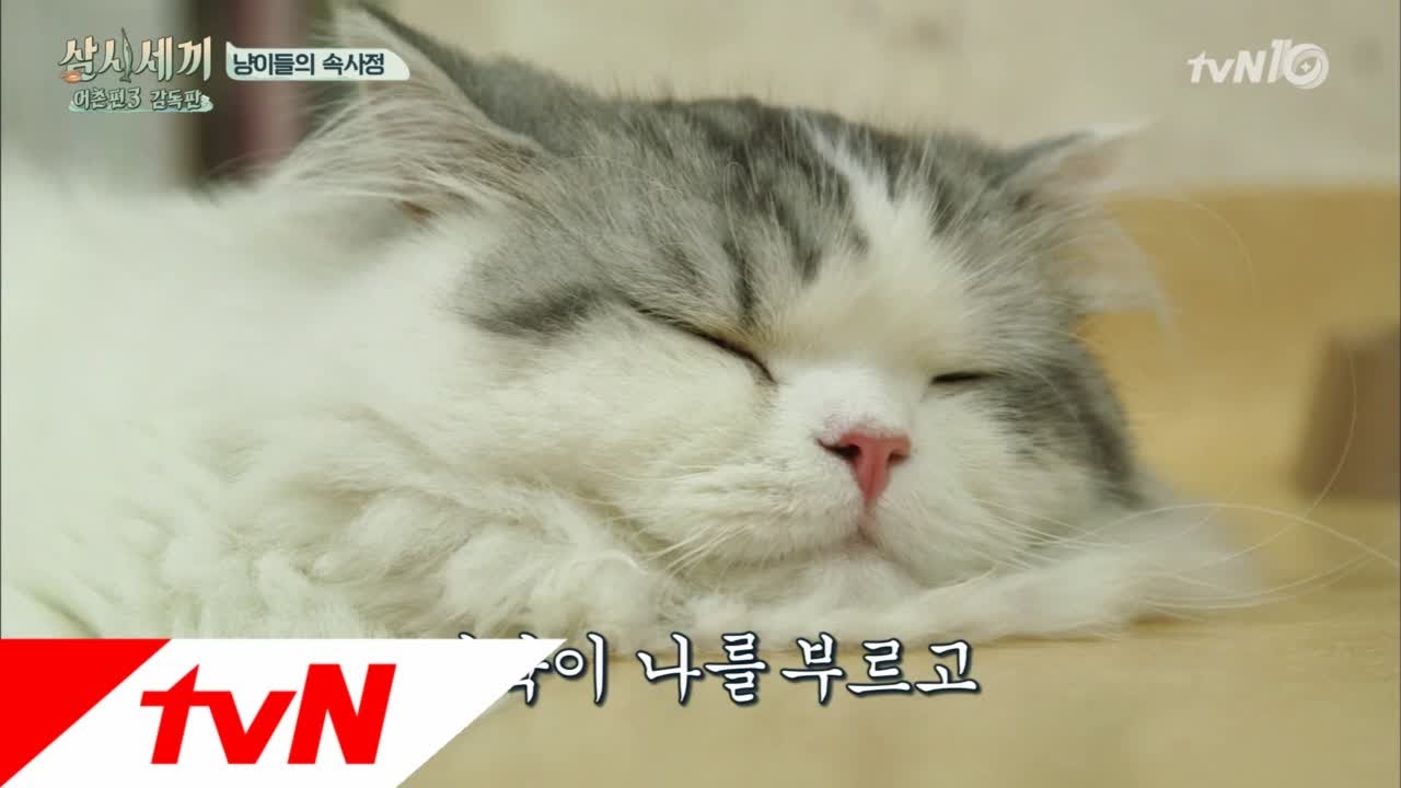 3bobfish [미방분] 쿵이의 다이어트 도전기 161230 EP.12