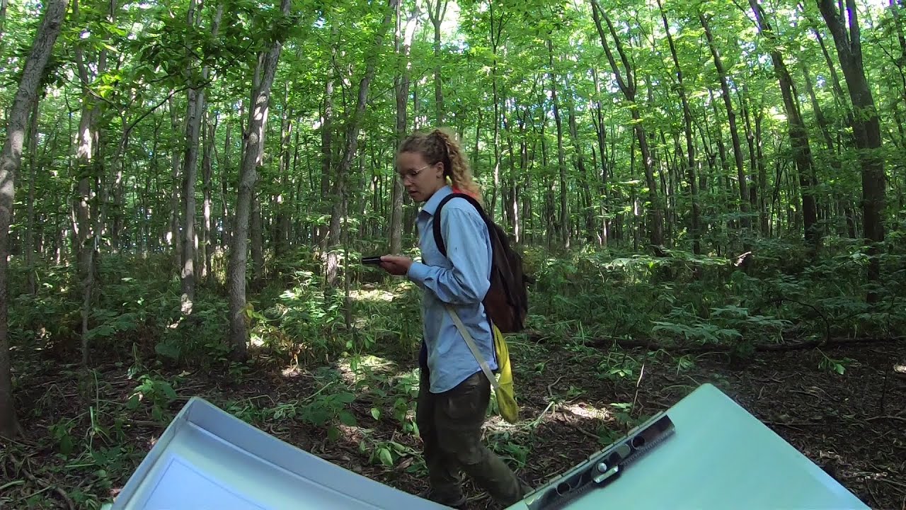 West Sister Island National Wildlife Refuge Nest Count Survey