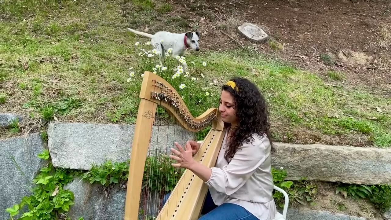 The Lisnagun Jig - Harp