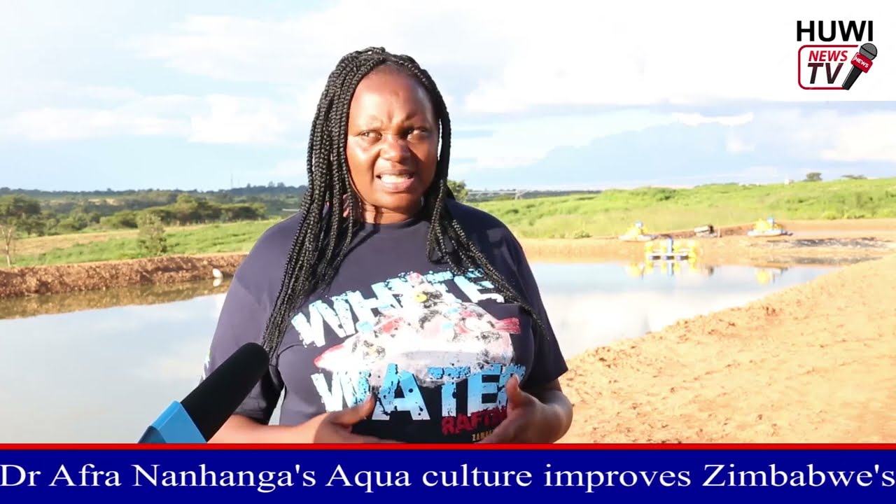Fish Farming in Zimbabwe Dr Afra Nhanhanga by  Rhonia Fafie Chimbetete