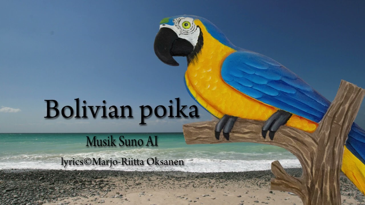 Bolivian poika