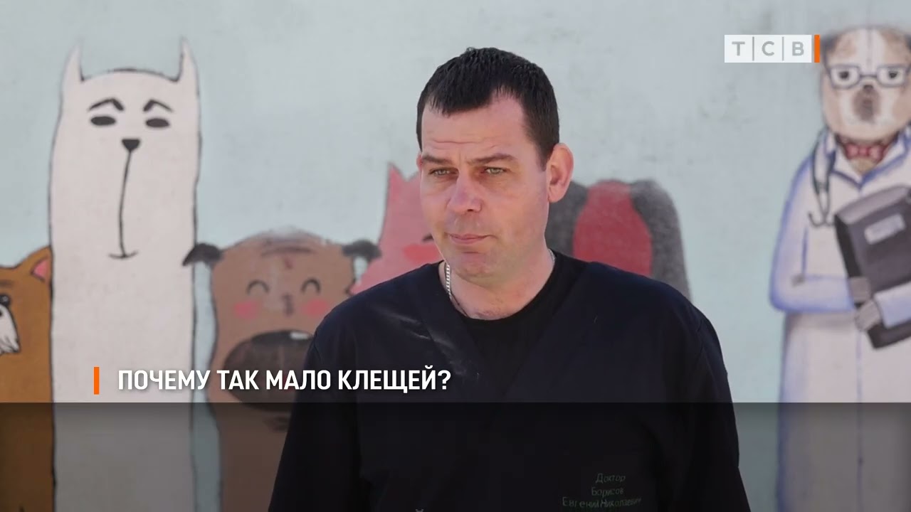 Почему так мало клещей?