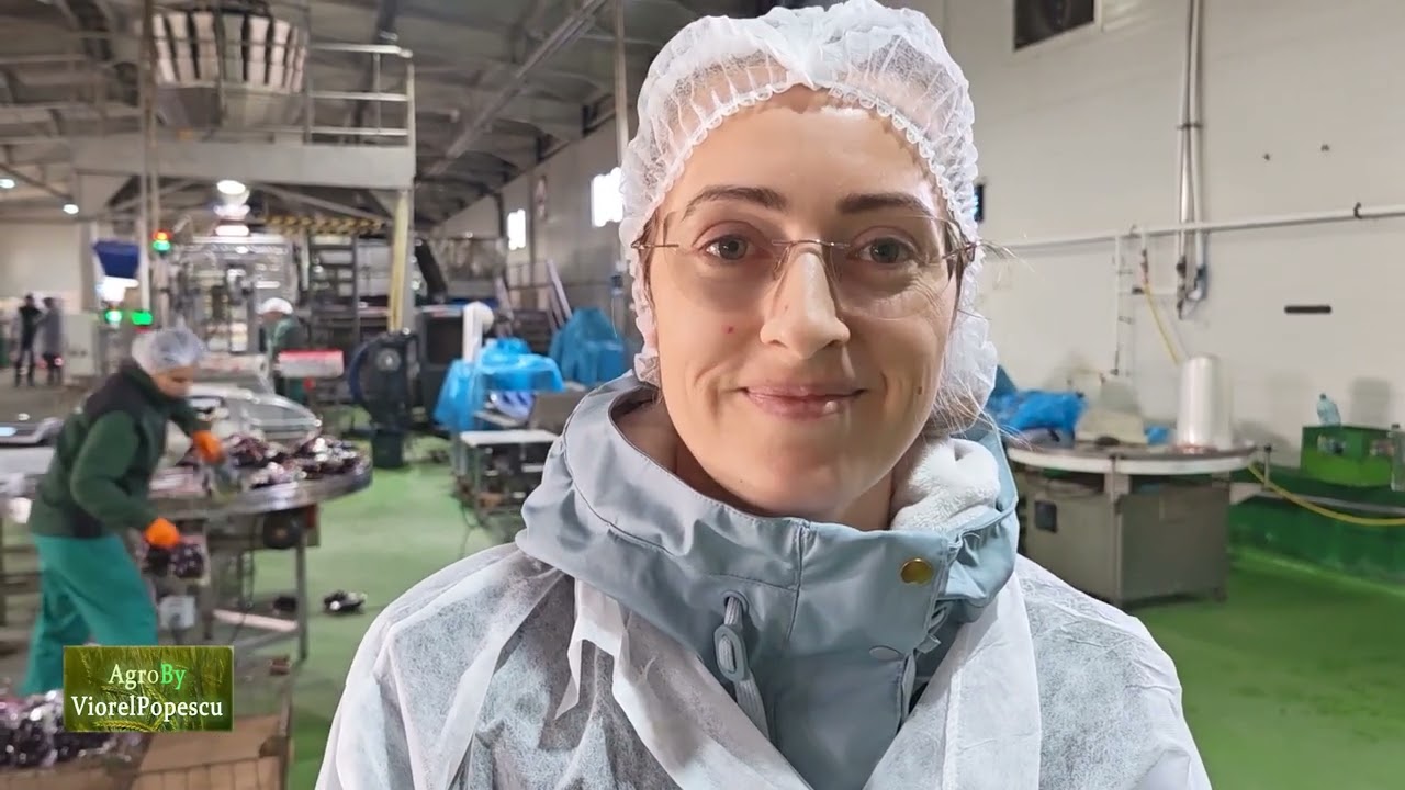 Fabricat in Romania   Sfecla rosie