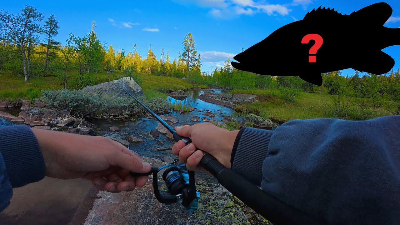 ŽVEJYBA NORVEGIJOJE! KĄ PAVYKS PAGAUT?