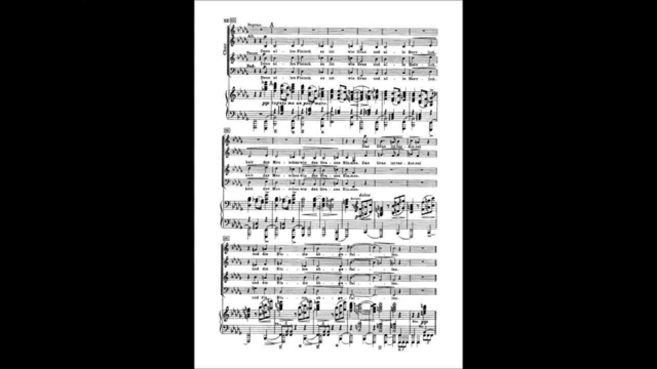 Brahms: Deutsches Requiem 2nd movement (Tenor)