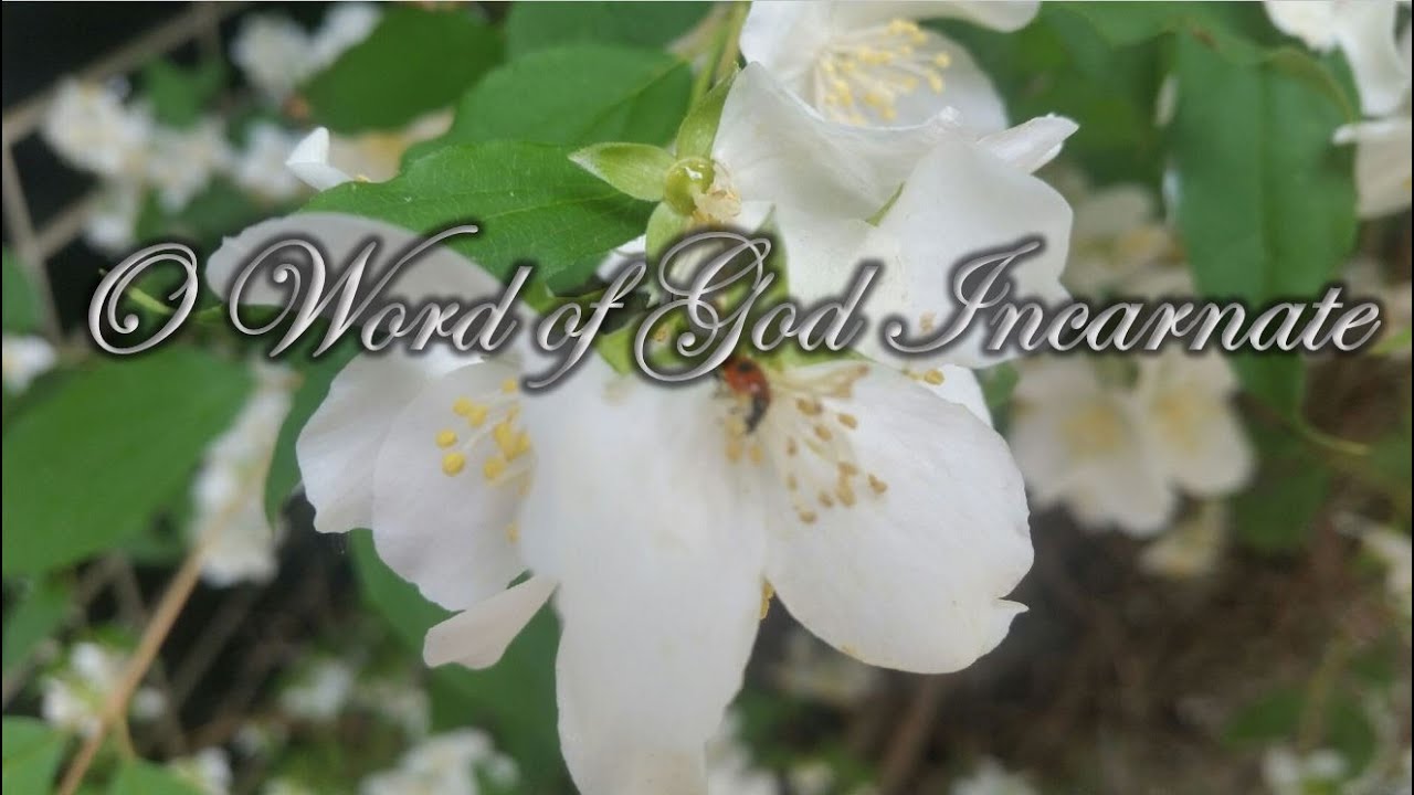 O Word Of God Incarnate - EVERTS