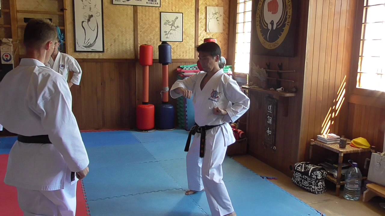 Seminar by Nukina   Ukraine 2016 kata Seishan 2