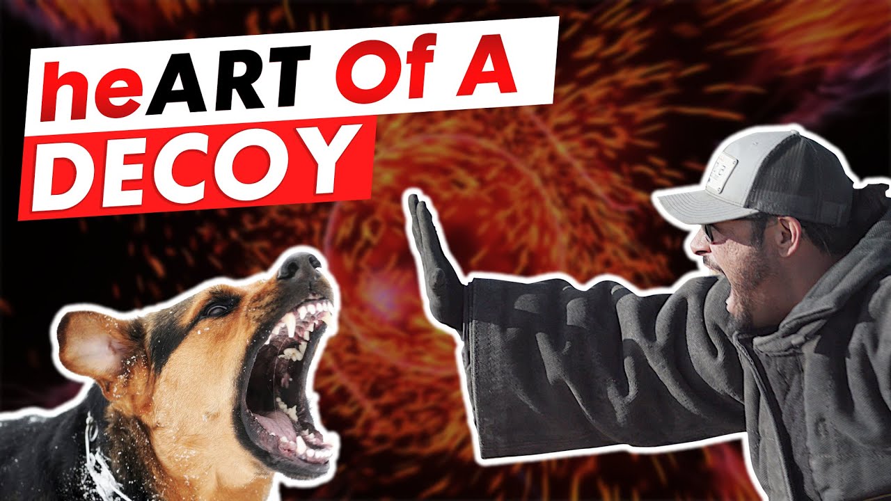 heART OF A DECOY EP. 2