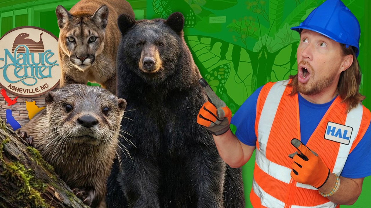 Handyman Hal&rsquo;s WILD Adventure! 🐻 Meeting Bears & Otters at the Nature Center!
