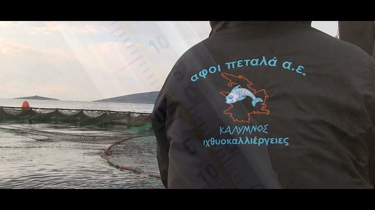 Petalas Bros Aquaculture