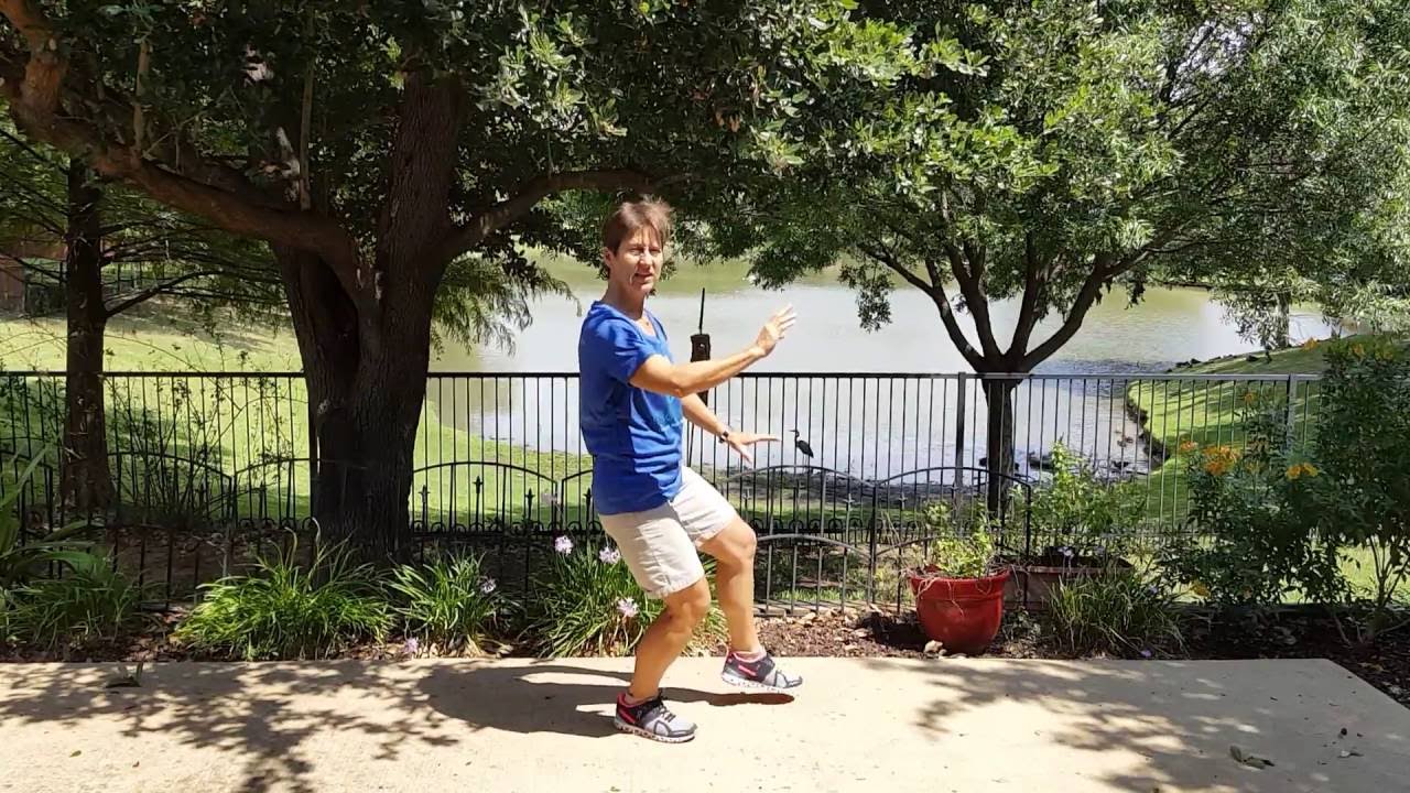Learn Yang Style Tai Chi  White Crane Flashing Wings part A
