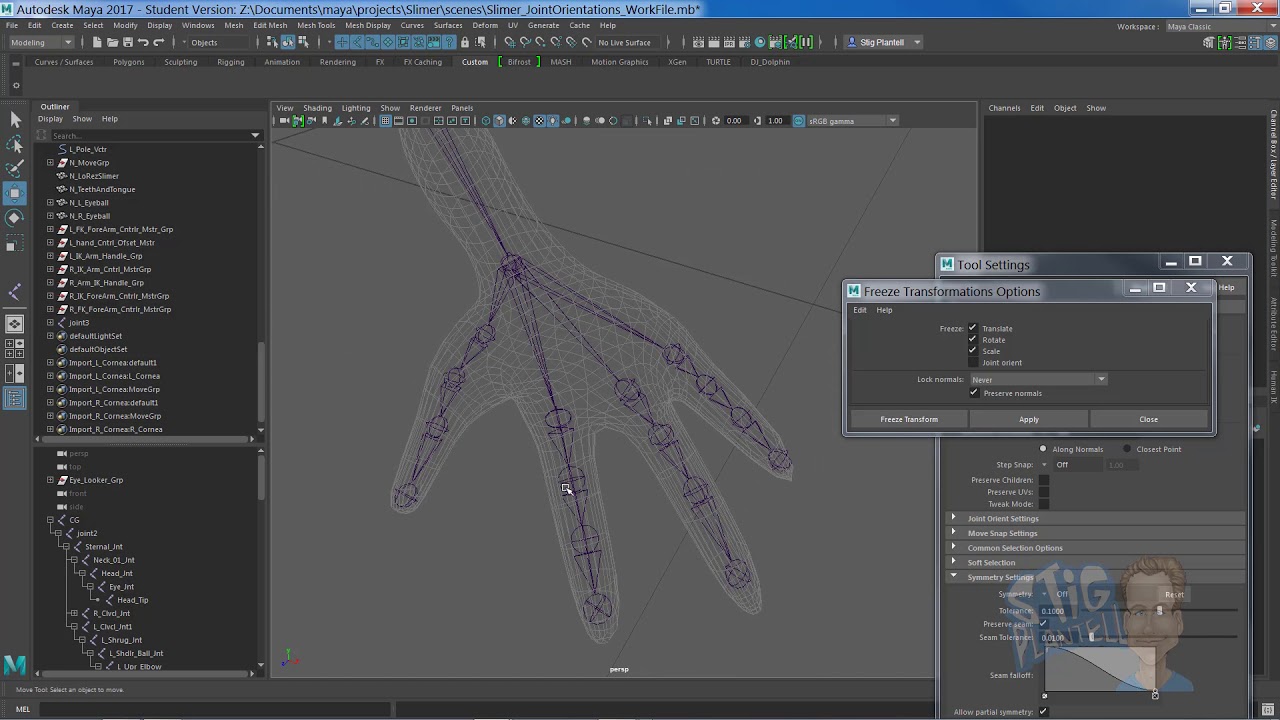 Joint Axes and Bone Orientations In Maya