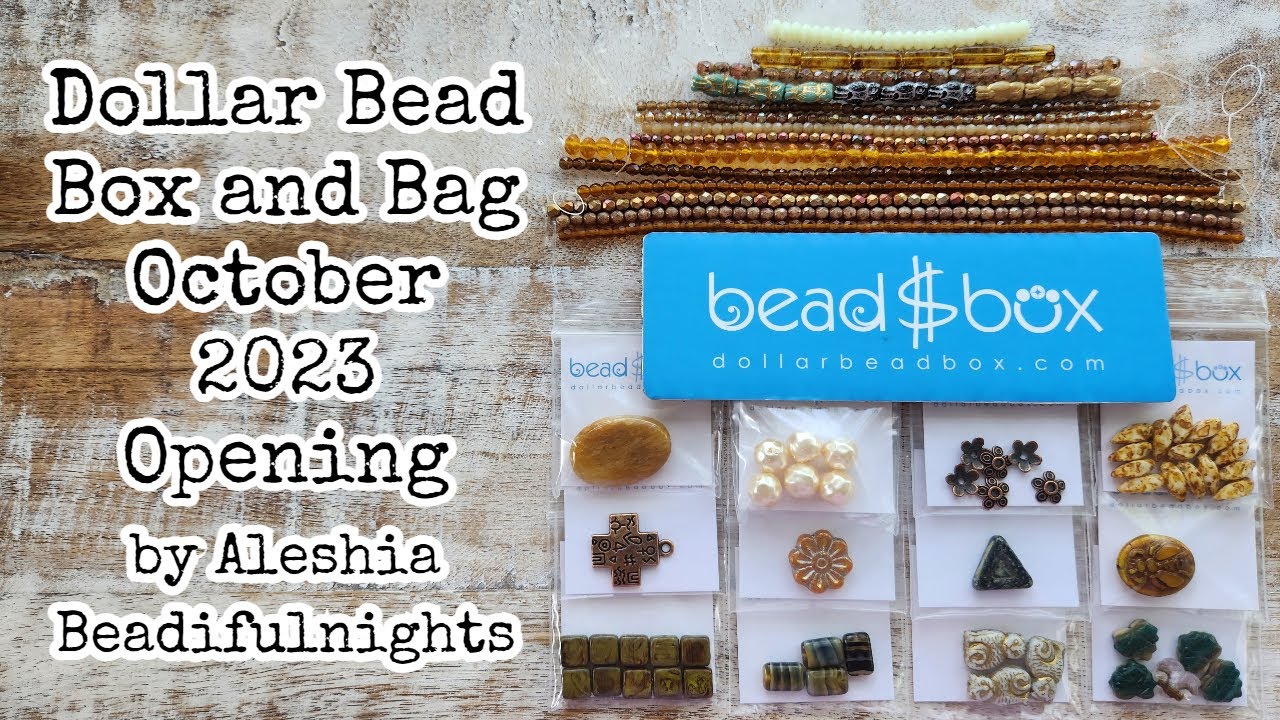 Dollar Bead Box and Bag October 2023 Opening
