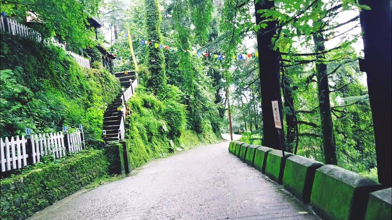 Walking Tour to Lal Tibba Landour | Exploring Landour’s Highest Point with Stunning Himalayan Views.