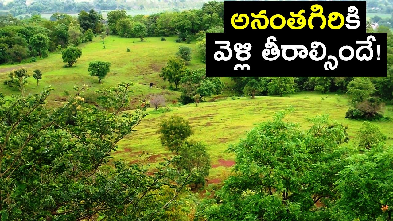 Amazing Ananthagiri Hills, Vikarabad, Full Coverage | HD Video!!
