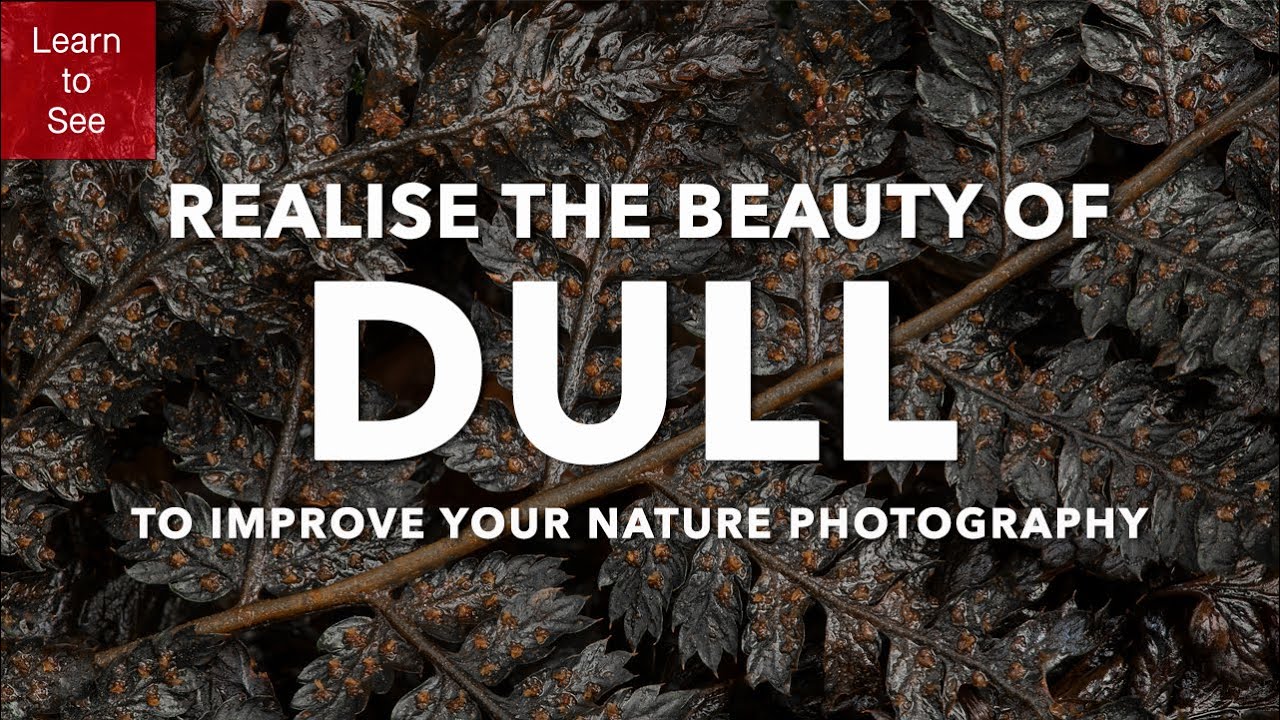 Improve your Nature Photography and Realise the Beauty of Dull