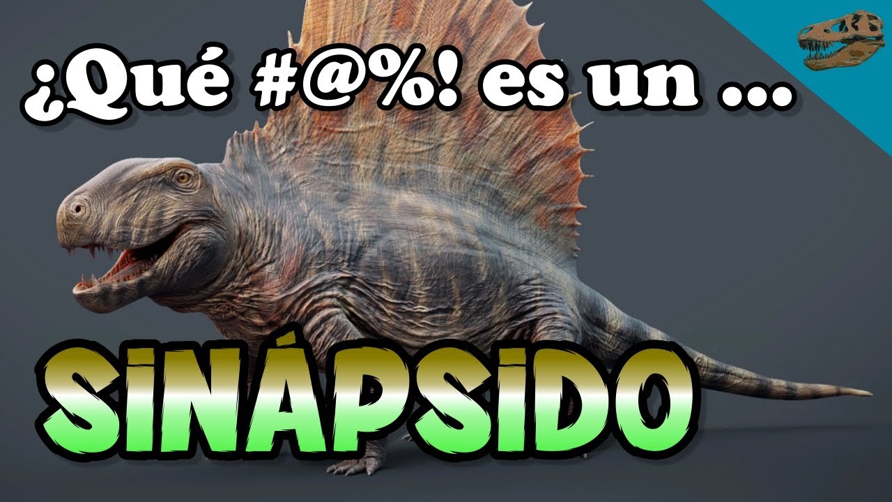¿Qué #@%! es un SINÁPSIDO? - Y ¿por qué no descendemos de reptiles?