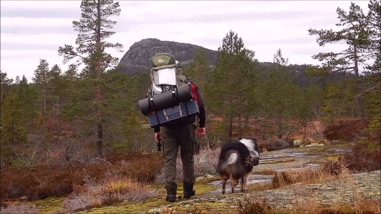 Friluftsliv med hund - høsttur i vått terreng
