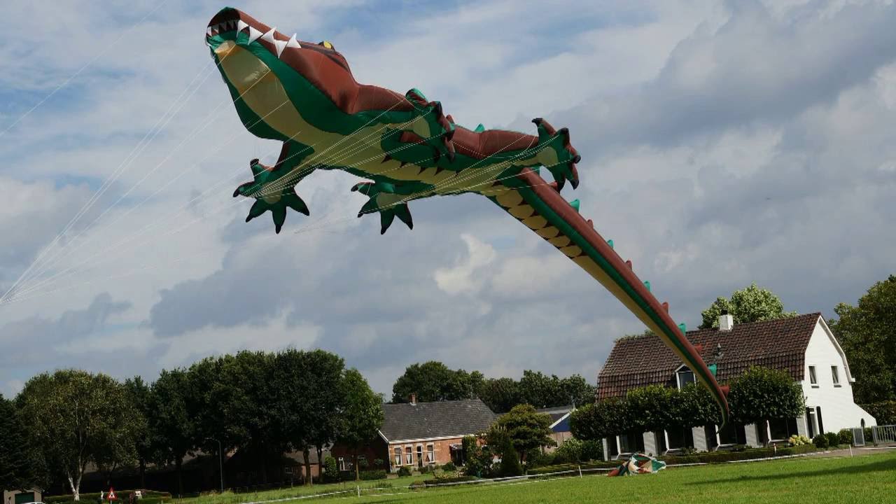 Rijsbergse Vliegerdagen 2017