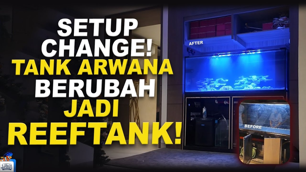 TRANSFORMASI DARI AKUARIUM ARWANA JADI AKUARIUM LAUT 2M?!