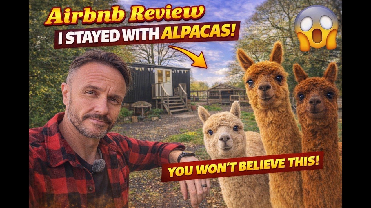 Отзыв Airbnb — Альпаки в «Bumble» The Shepherd's Hut в Пассфилде