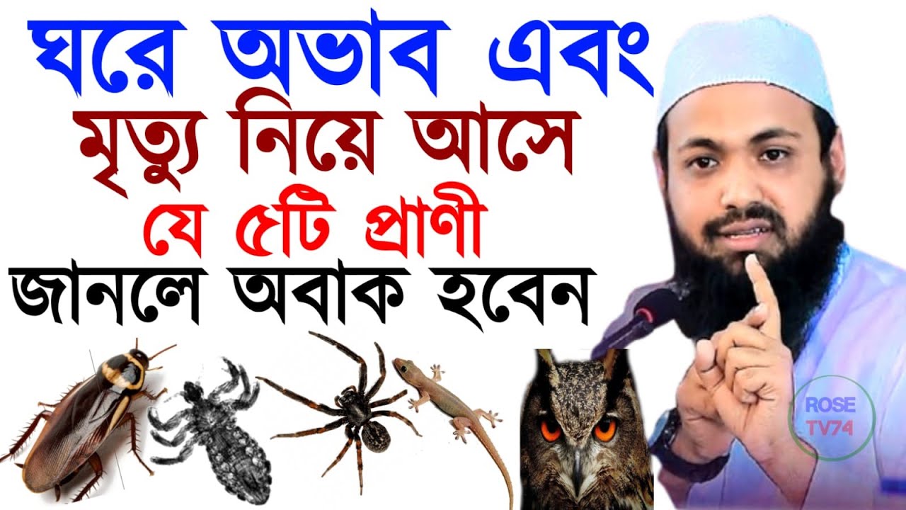 🔴LIVE🟢সাবধান ঘরে অভাব এবং মৃত্যু নিয়ে আসে যে পাঁচটি প্রাণী মুফতী আরিফ বিন হাবিব Feb 7, 20269:15 AM