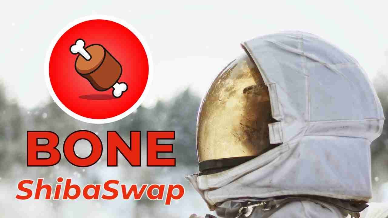 BONE at SUPPORT will it hold!?? ShibaSwap Token Price Prediction-Daily Analysis May 2023 Crypto DCA