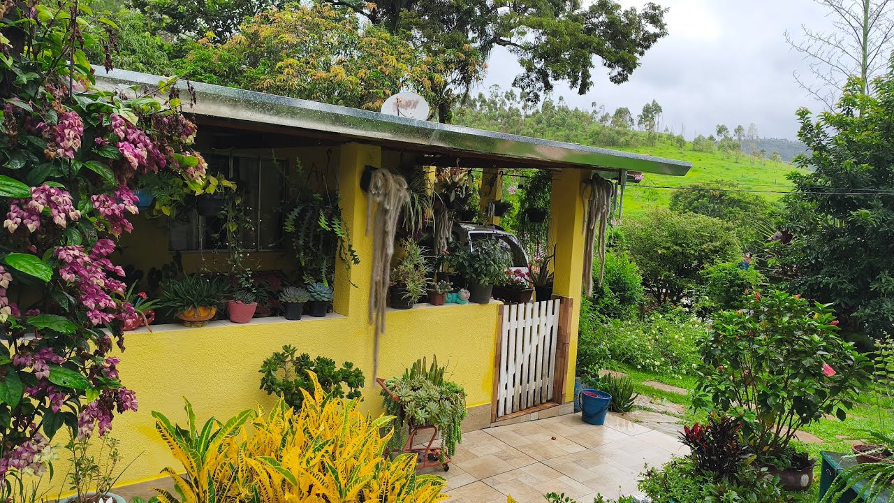 Um passeio pelo jardim 🏡😍 em um dia de chuva 🌧️🙏
