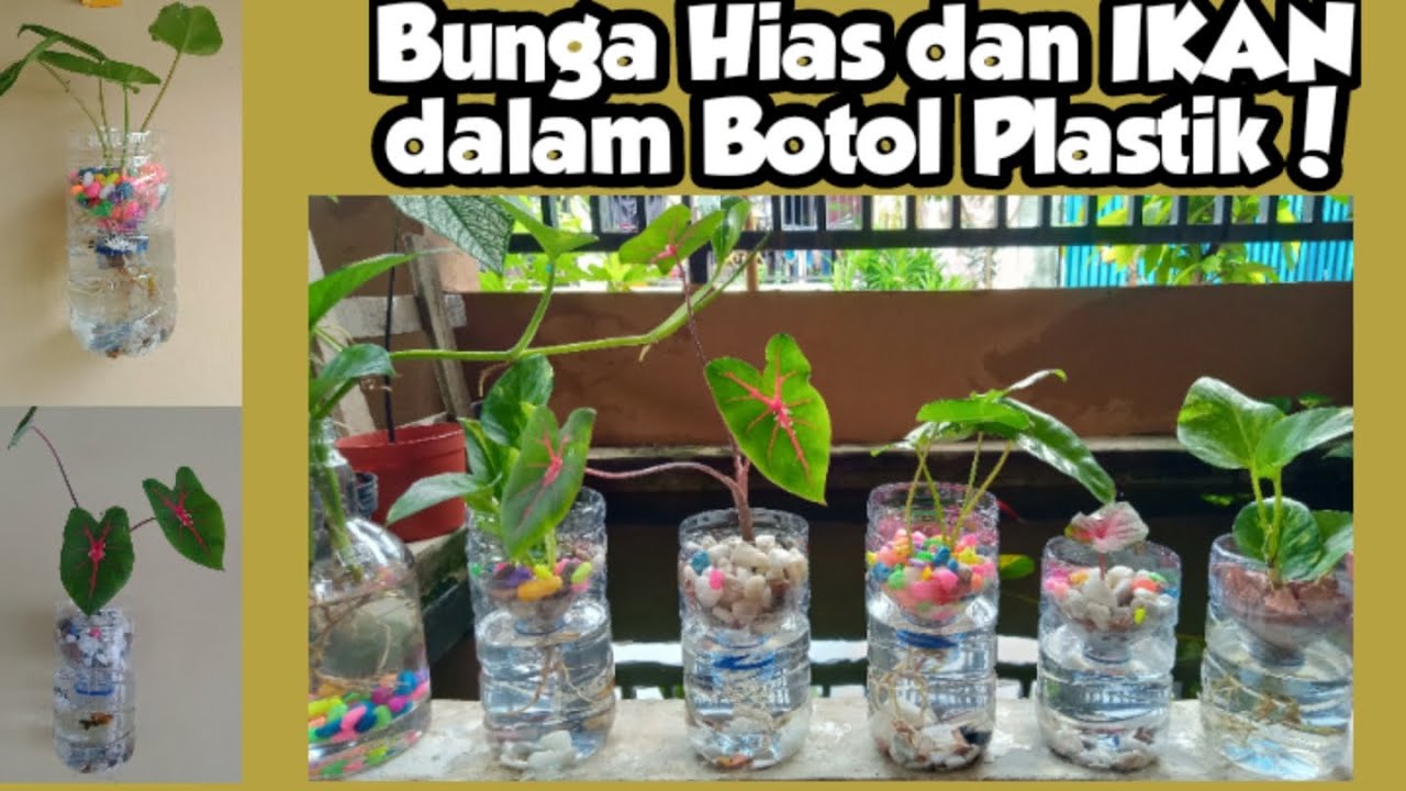 Cara Membuat Pot Bunga Aquarium dari Botol Plastik Bekas!