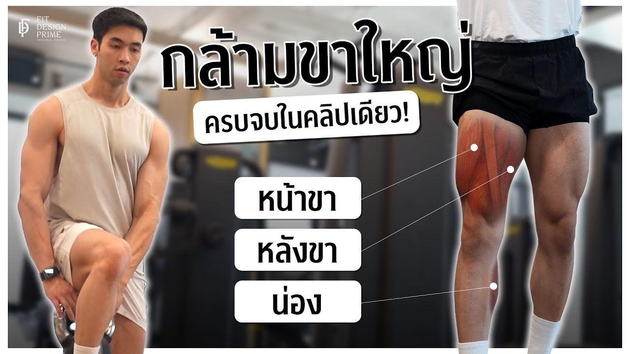 Fitปะล่ะ #9  โปรแกรมเล่นขา กับการ แก้ปัญหาขาเล็ก ไม่ใหญ่ มือใหม่ต้องดู l FIT DEISGN PRIME