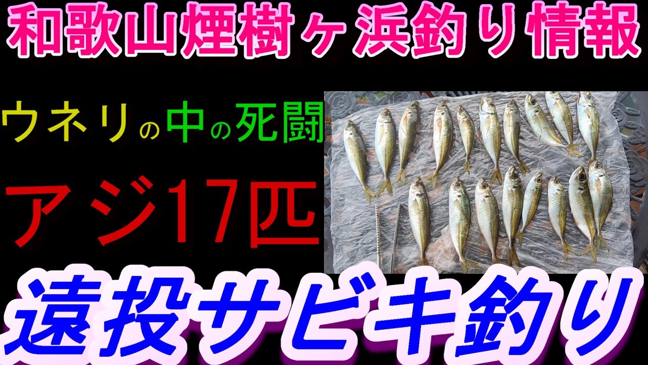 02-27　煙樹ヶ浜釣り情報・実釣編【第1530回】ウネリの中で悪戦苦闘してアジ17匹釣りました。 #アジ17匹 ＃遠投カゴ釣り #和歌山・釣り #煙樹ヶ浜