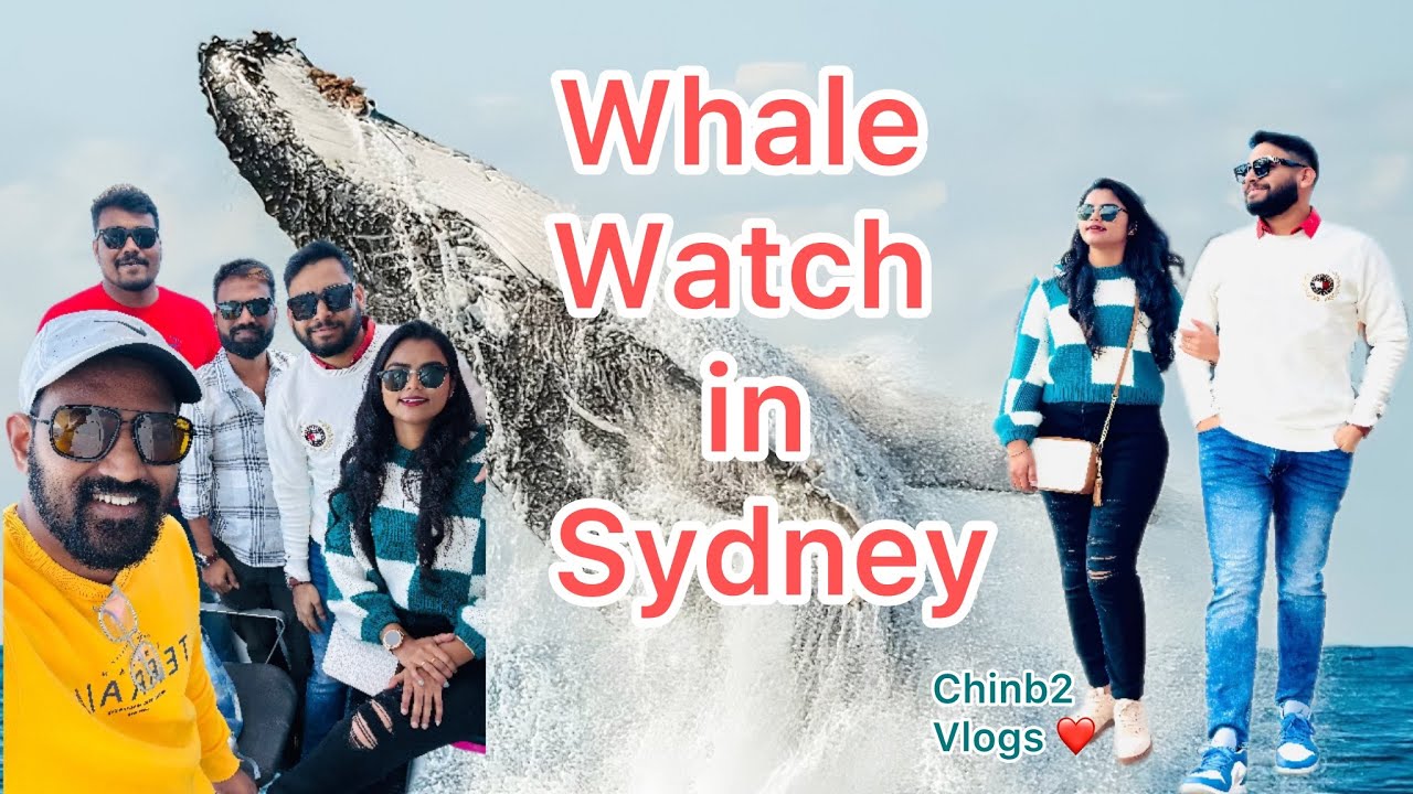 Whale Watch in Australia  🐳🐋🐟