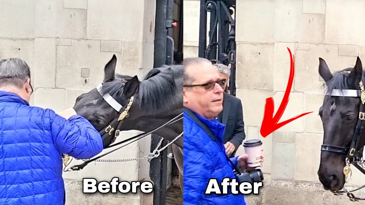 I Smell Something, Horse Tries to Steal Man's Coffee ☕