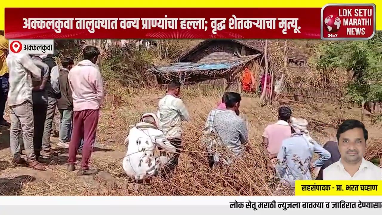 अक्कलकुवा तालुक्यात वन्य प्राण्यांचा हल्ला; वृद्ध शेतकऱ्याचा मृत्यू.