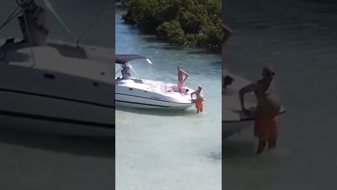 Will the shark win ? By @taysaltyflorida 