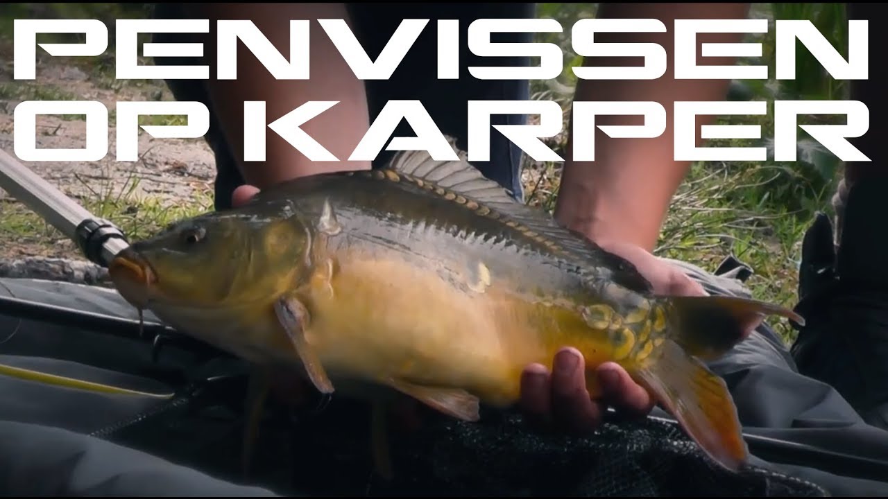 Penvissen op karper  | Stop Stunting Start Hunting | Deel 1
