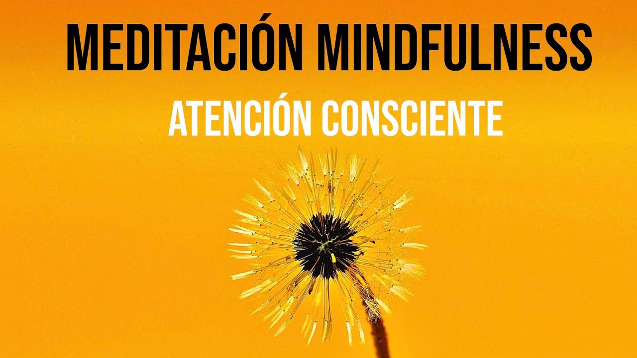 Meditación Mindfulness 10 Minutos ATENCIÓN PLENA