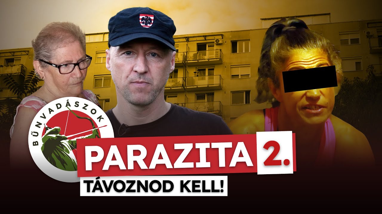 A Bűnvadászok NEM TŰRTÉK TOVÁBB a nyugdíjas néni KIHASZNÁLÁSÁT (Bűnvadászok 25.)