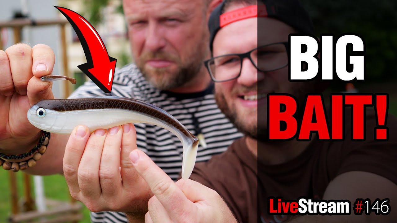 Big Bait! 💪 To je lov přívlačí na velké nástrahy  | Přívlač Live #146
