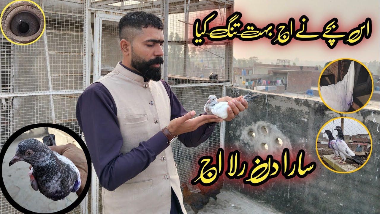اج بچہ سارا دن رلتا رہا //Aaj baccha Sara Din Rulata Raha Sham Tak Rula 