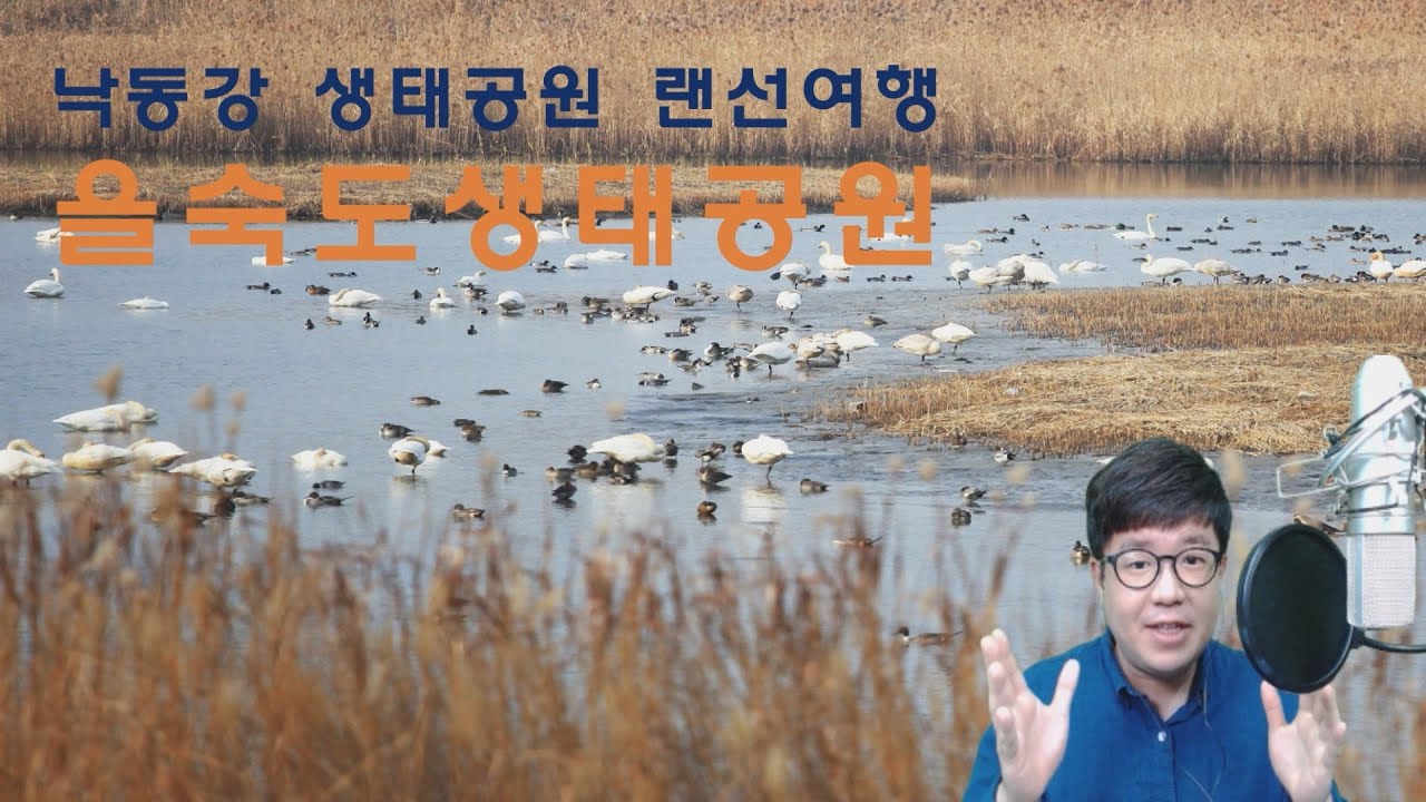 [낙동강 생태공원] 을숙도 생태공원 랜선여행