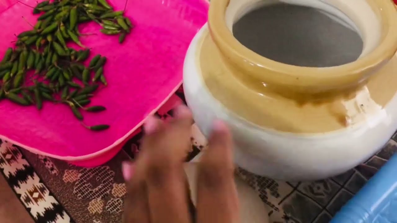 Preserving Green Chilli | How to preserve Green Chilli | Sunday Vlog