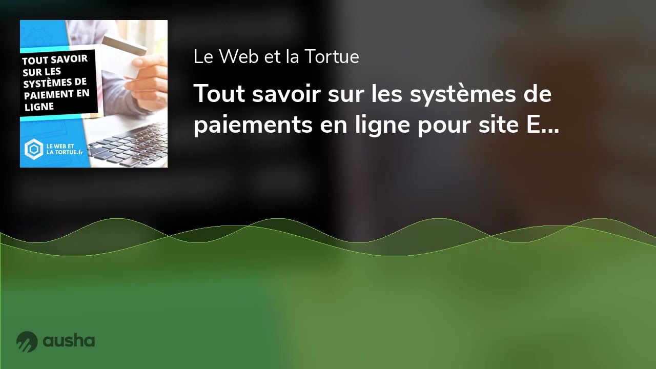 Tout savoir sur les syst&egrave;mes de paiements en ligne pour site E-commerce