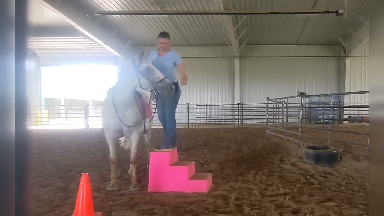 Total Contact Saddle ~ How Do I Know if the TCS is Hurting Their Back?