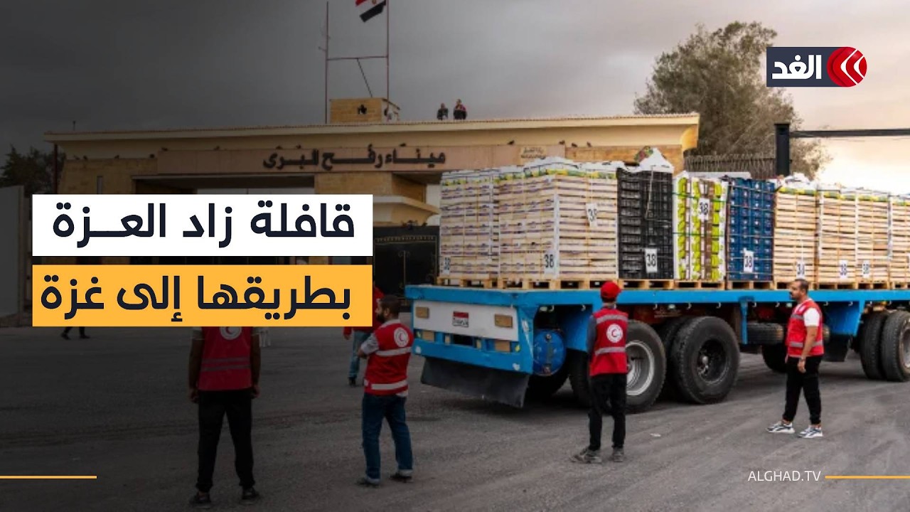 نحو 190 ألف سلة غذائية بطريقها إلى غزة ضمن قافلة زاد العزة.. مراسلنا ينقل المشهد من معبر رفح