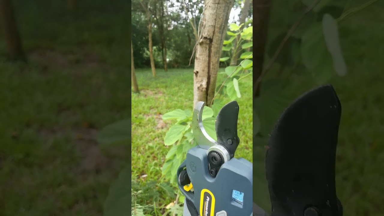 Makita Battery + E50 Pruner = Pruning POWER Combo 🔋💥