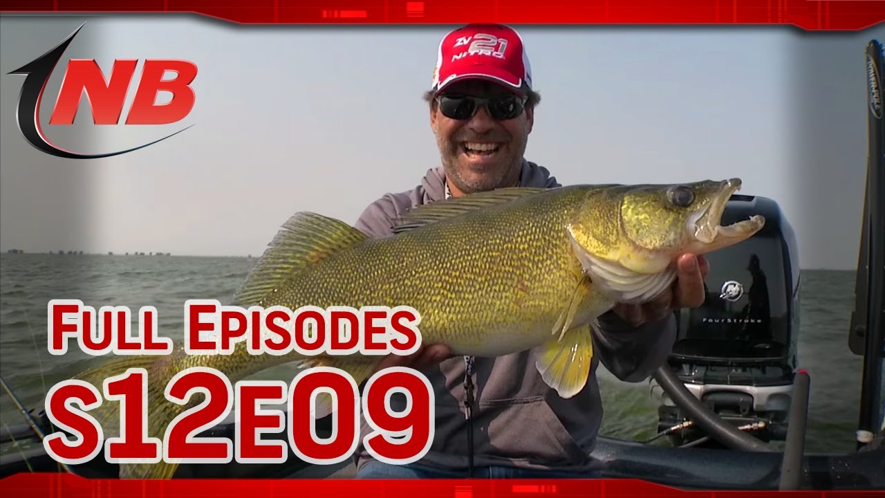 Slow Drift Shivering: Last Mountain Lake Walleyes