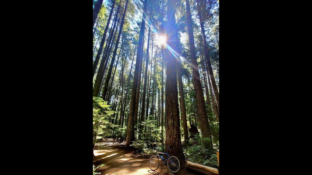 (Bike) Tour de Vancouver